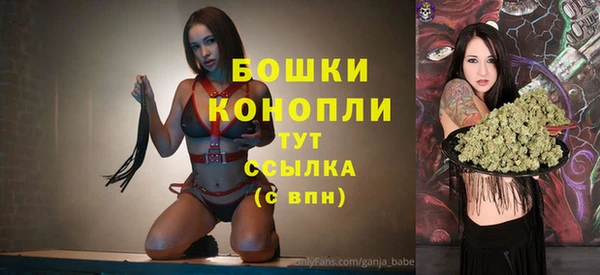 ECSTASY Белокуриха