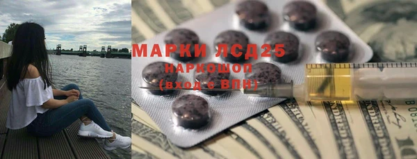 ECSTASY Белокуриха