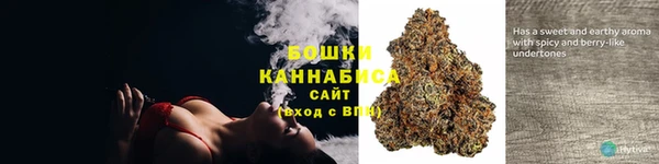 ECSTASY Белокуриха