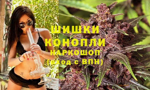 ECSTASY Белокуриха